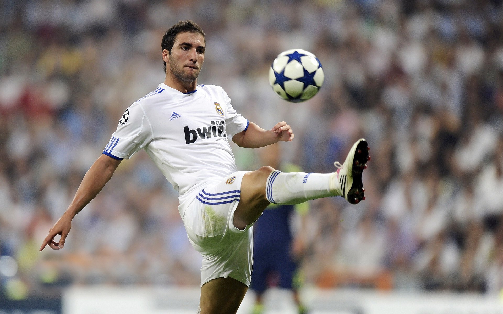 法国橄榄球发展进入黄金时代，青训体系贡献巨大，法国橄榄球厉害吗