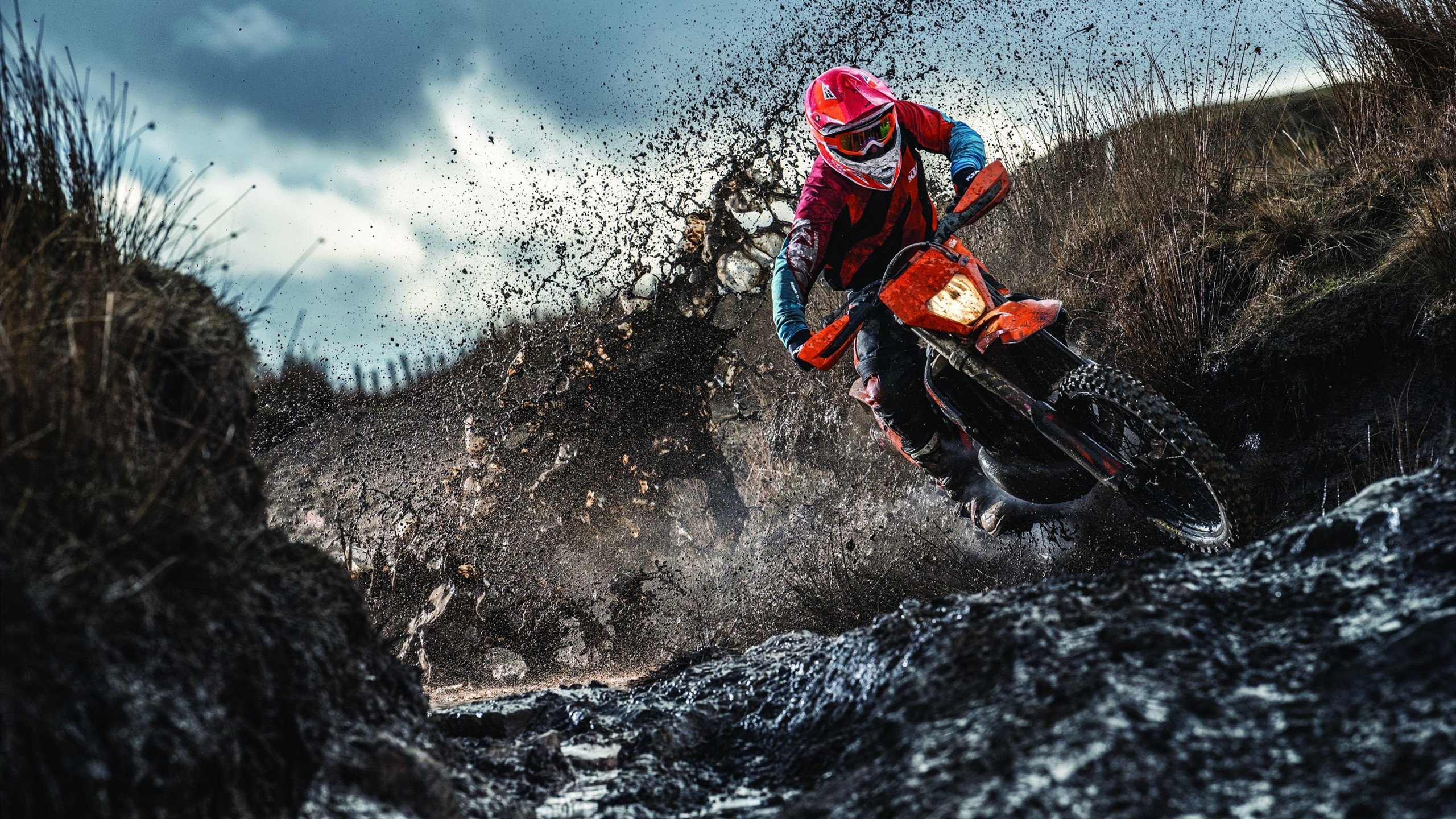 新星崛起：年轻球员的逆袭故事！，新秀崛起视频